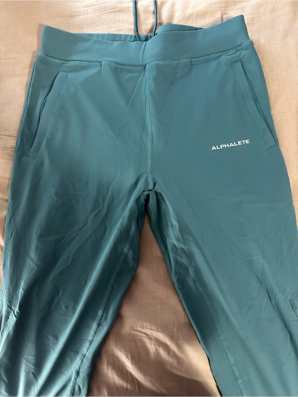 Alphalete Teal Active joggers